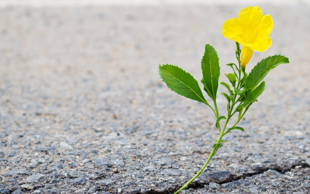 Part 1: Deliverance from Adversity