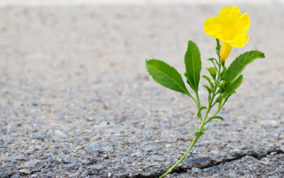 Part 1: Deliverance from Adversity