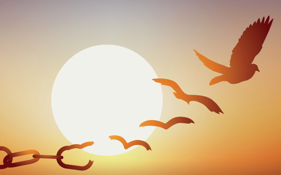 From Condemnation to Glory – Part 7 of 11 (Romans 8: 14-17)