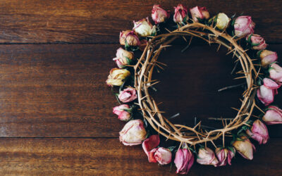 After Death, What? Part 2: Resurrection and Rewards