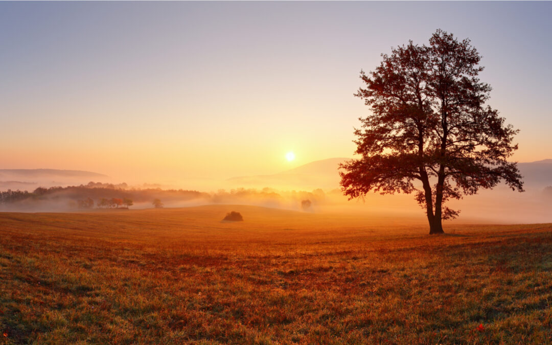 After Death, What? Part 4: The New Heavens and the New Earth