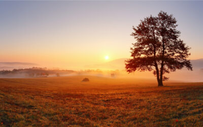 After Death, What? Part 4: The New Heavens and the New Earth