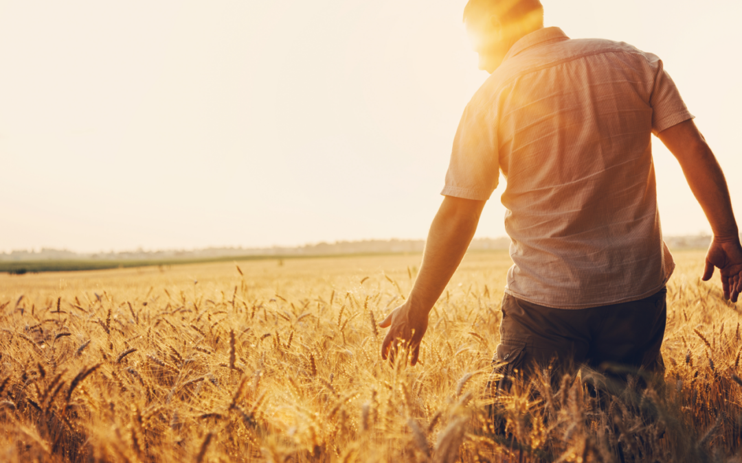 Symbols of the Holy Spirit: Wind