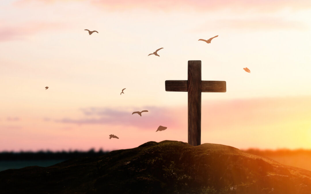What is a Christian? Part 2: Shepherd and Sheep